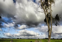 红军点球不敌PSG无缘欧冠八强 斯洛特:球队仍可自豪离场.