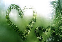 官方:17岁亚马尔获2024年金童奖.