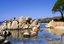 勇士42分狂胜马刺巩固西部第六 库里13+6.